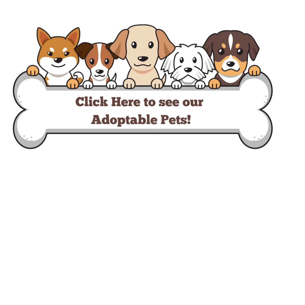 Adoptables