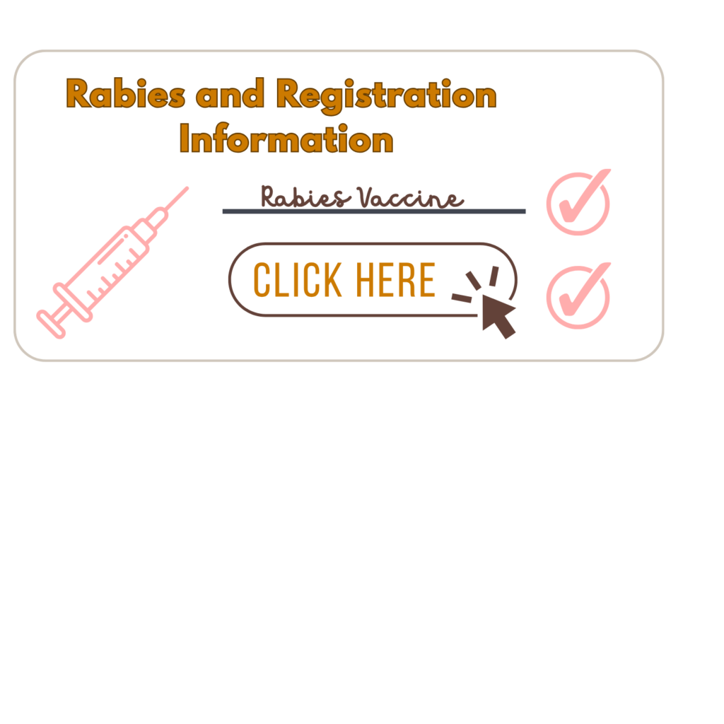 Rabies and Registration Icon