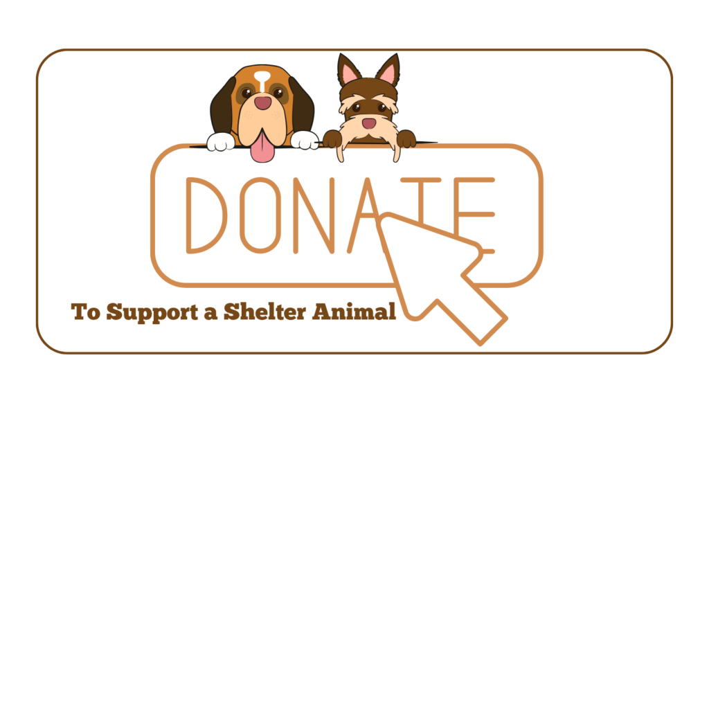 To Support a Shelter Animals