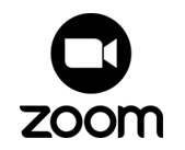zoom logo icon